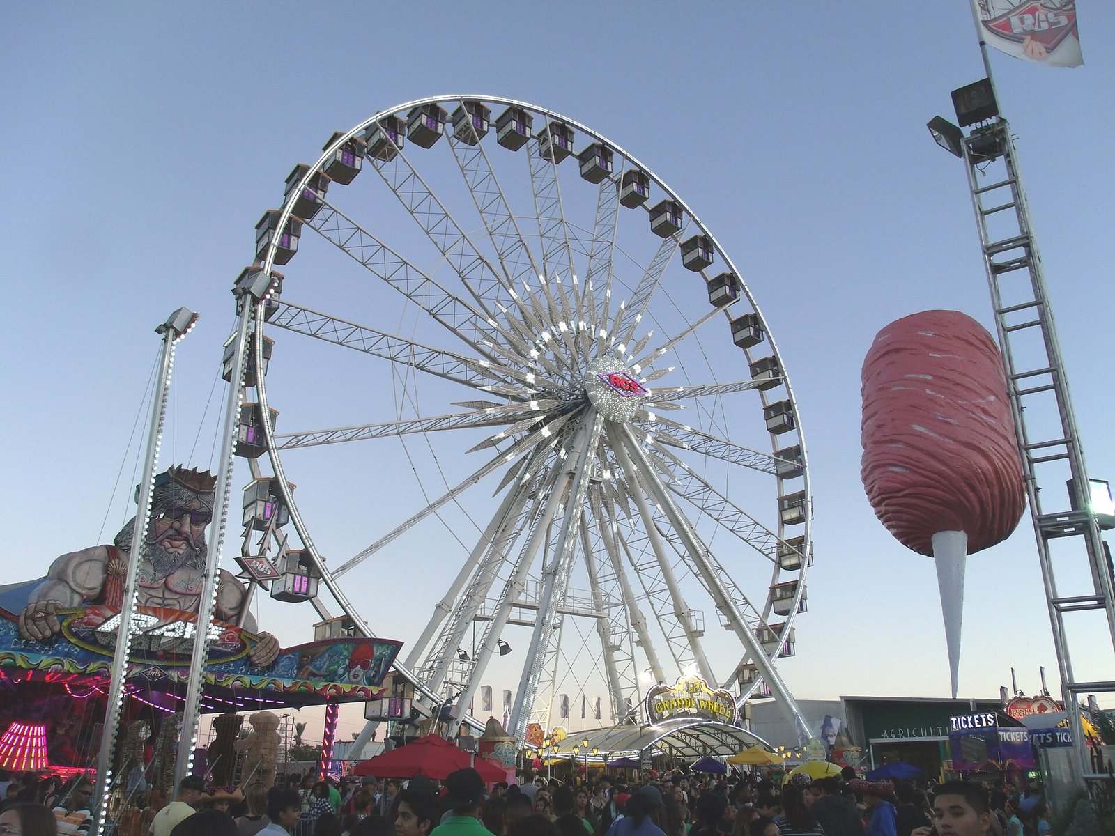 Phoenix Events and Festivals: What’s On in the Valley