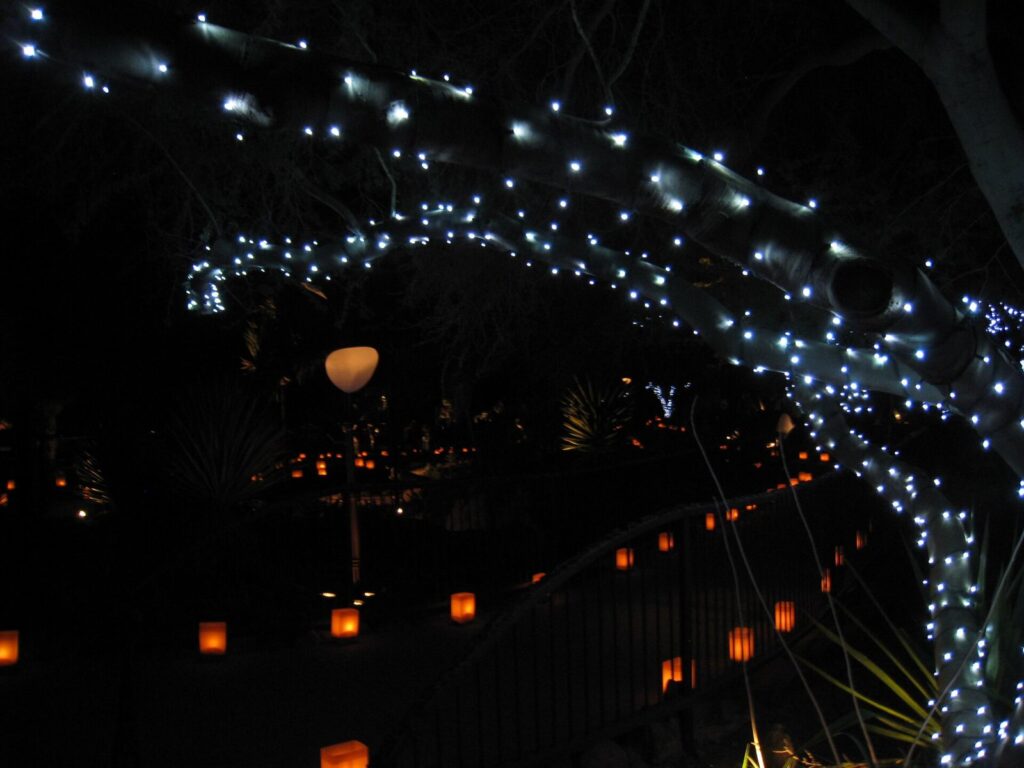 Strings of small white lights and paper lanterns along a garden path at night at the Desert Botanical Garden