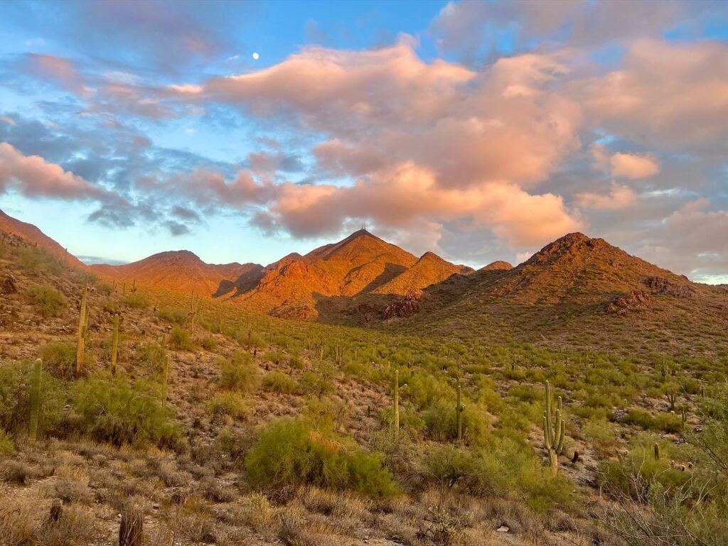 The McDowell Mountains glowing orange at sunset above saguaro-dotted desert slopes with pink clouds overhead