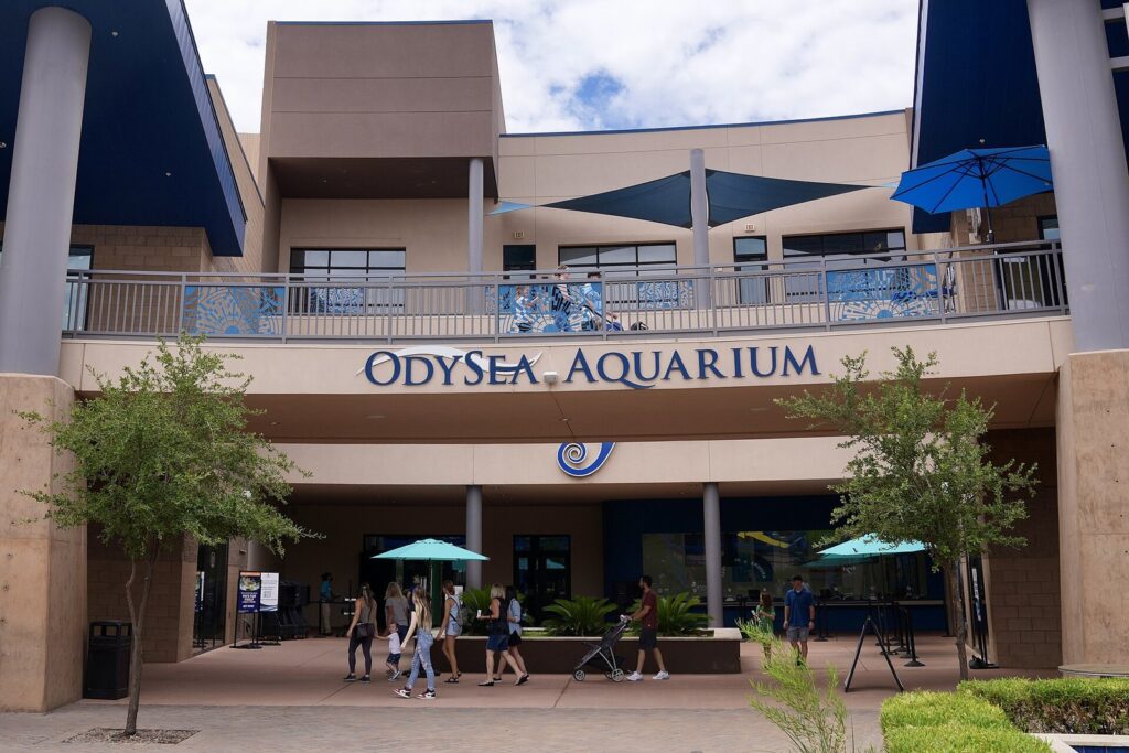 The OdySea Aquarium entrance with its name above glass doors, shade sails and visitors walking in