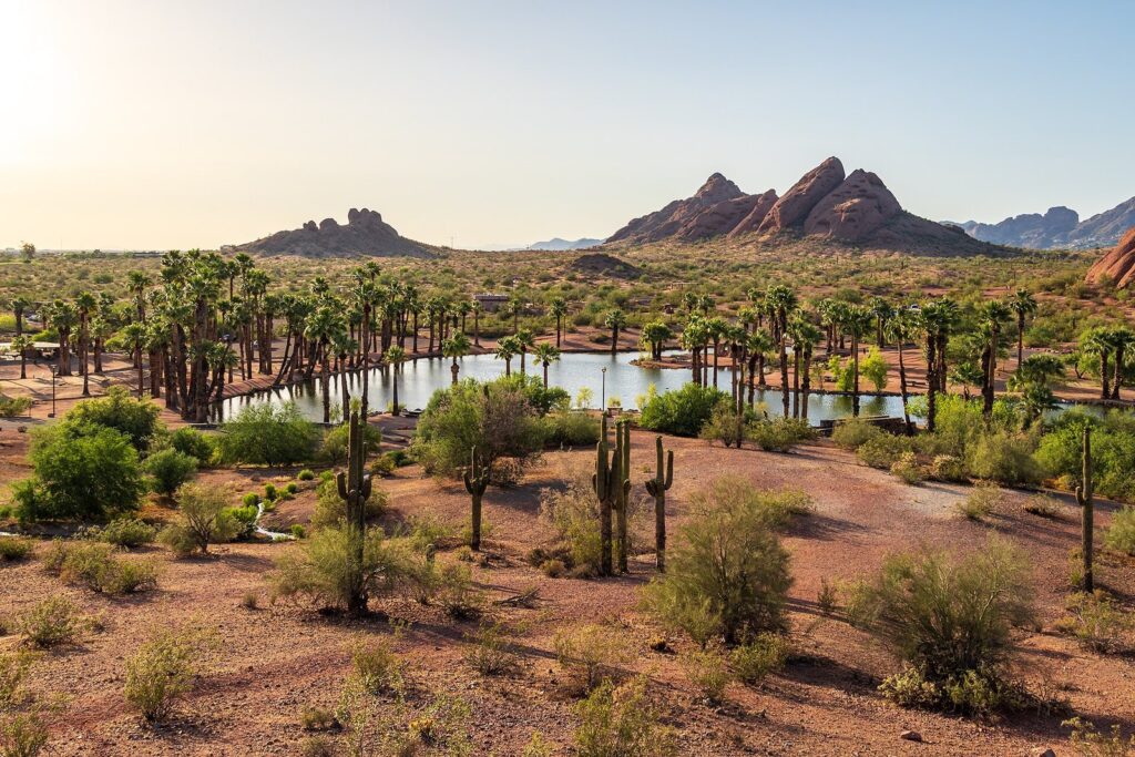 Papago Park's red buttes, palms and a pond under a clear sky, a scene from the months that are the best time to visit Phoenix