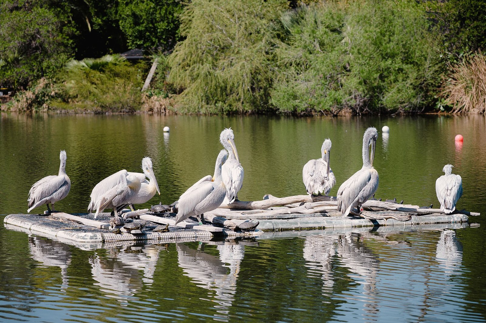 Things to Do in Phoenix With Kids: Family Guide