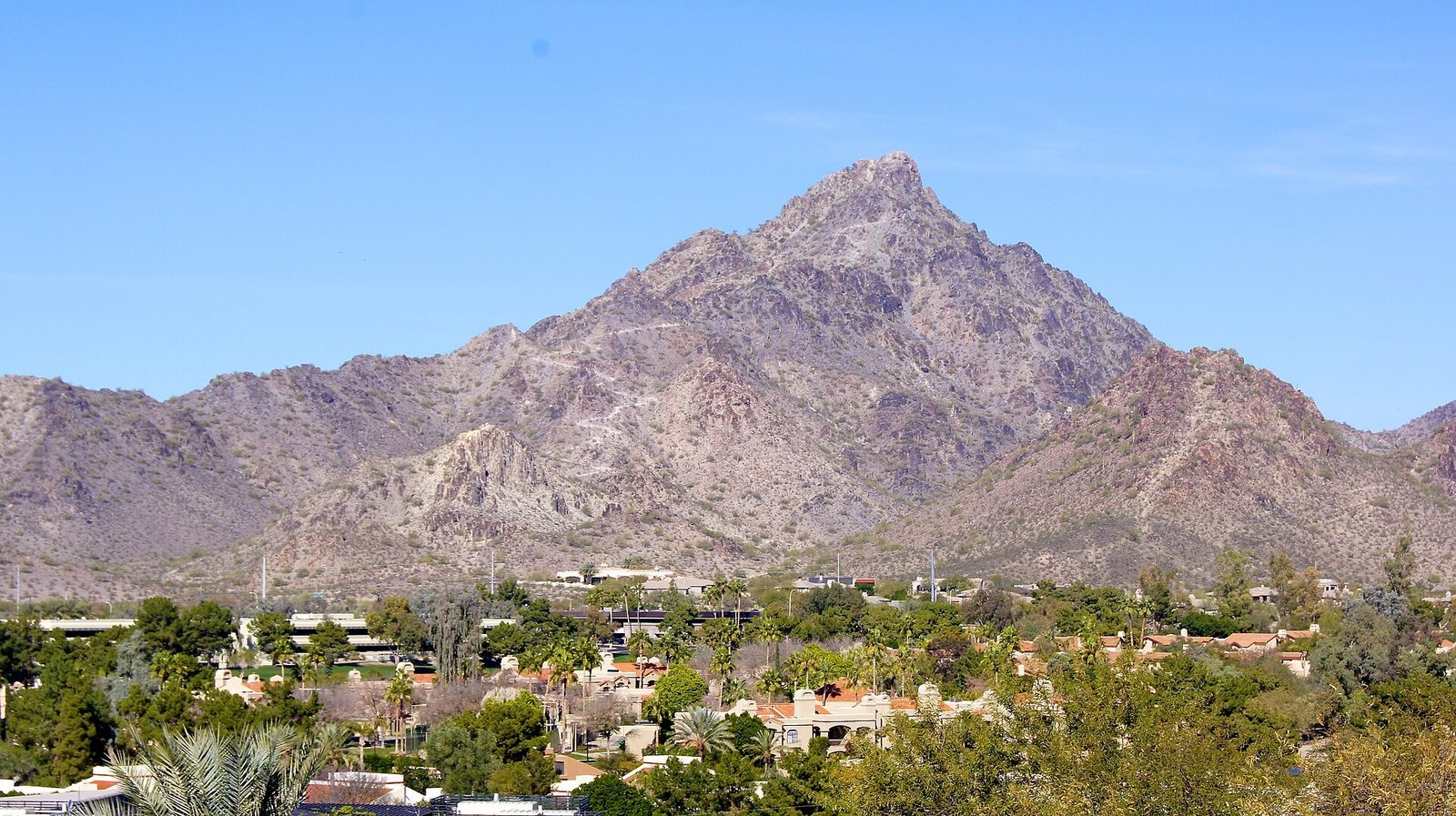 The pointed summit of Piestewa Peak rising above houses and desert trees in north-central Phoenix