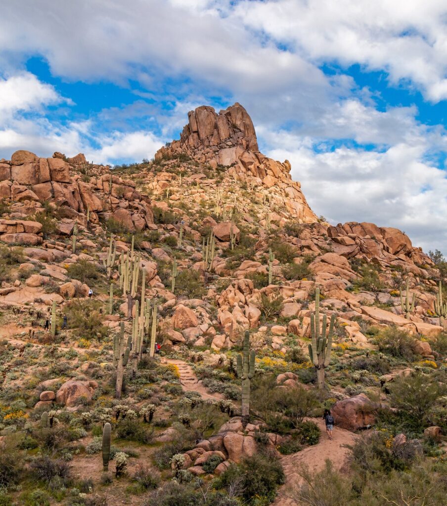 Granite boulders and saguaro cacti leading up to the rocky summit of Pinnacle Peak under a blue sky with white clouds in spring