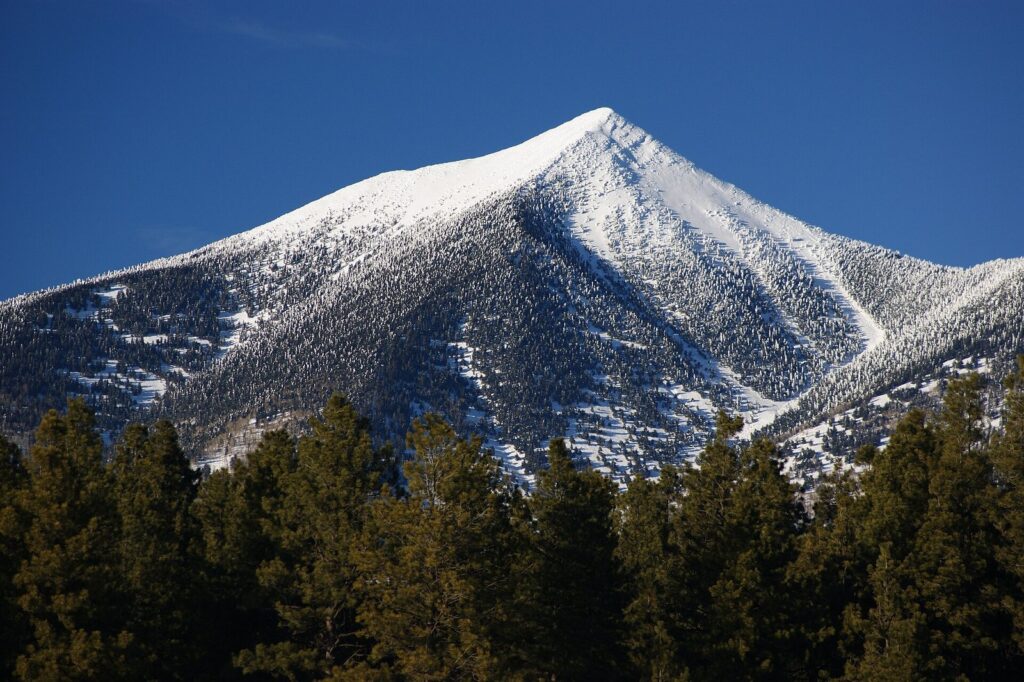 The snow-covered San Francisco Peaks rising above a dark band of pine forest under a clear blue sky near Flagstaff