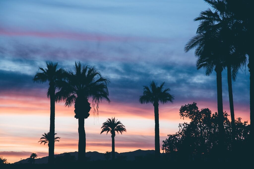 Palm trees silhouetted against a pink and blue sunset sky at The Wigwam in Litchfield Park