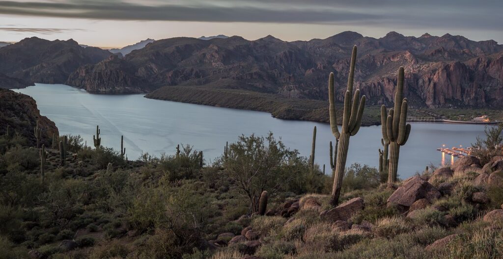 Tall saguaros above Saguaro Lake in the Tonto National Forest, desert country that many Phoenix desert tours explore